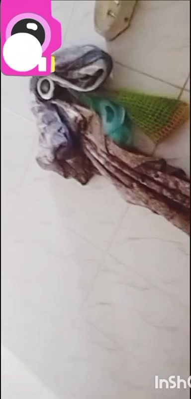 Bengali cute chamet girl 17