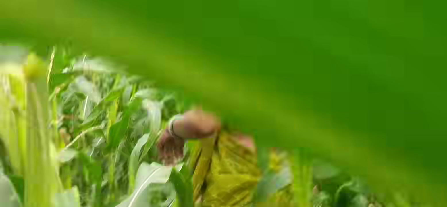 Desi Girl’s Outdoor Indian Village Girl Outside