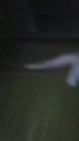 Desi cute chubby teen showing nude and giving blowjob 2 videos 23