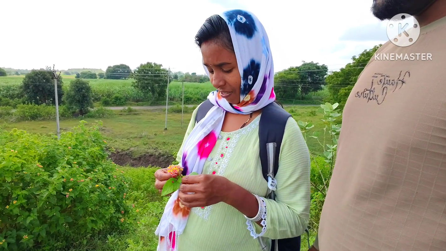 Desi college bhabhi hot boobs suking – unknown girl stops my bike, I take her on my bike and take her home and kiss her boobs