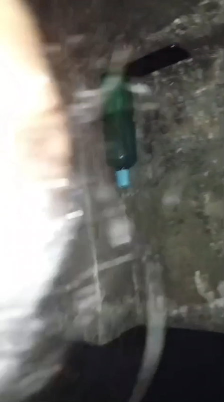 Beautiful babe sucking her boyfriend dick