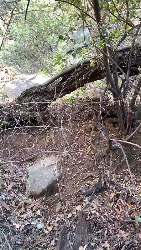 youlovemads Onlyfans video collection – 178