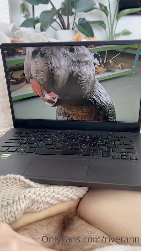 Riverann Onlyfans video collection – 73