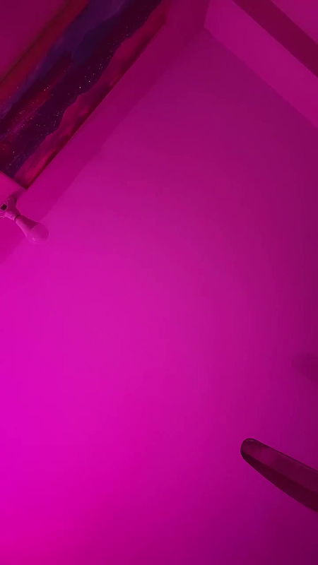 Bangladeshi shemale live collection – 9