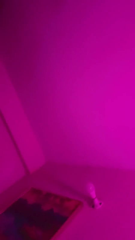 Bangladeshi shemale live collection – 9