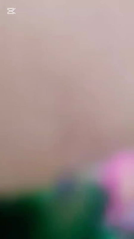 My boss and my wife Blowjob video,Big Dick