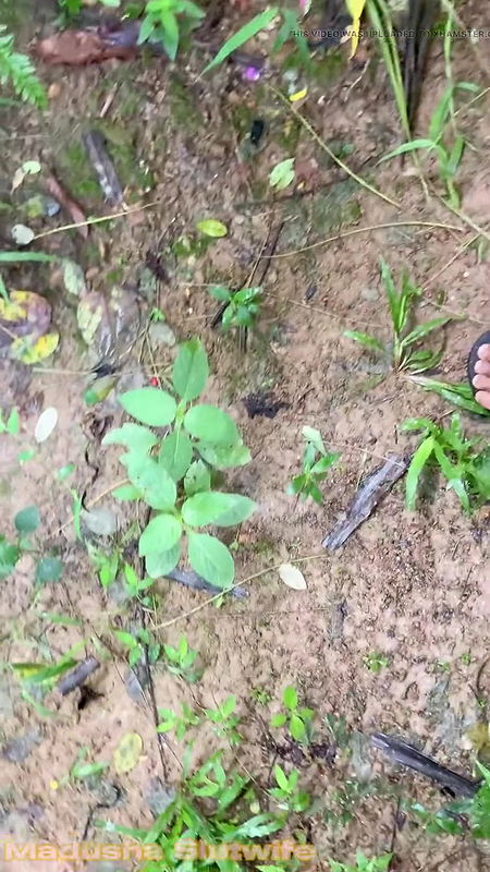 Outdoor Blowjob on Knees