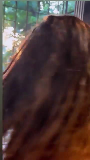 Prajakta Dussane Saree Slutty TEMPTING BACKLESS TEASE2