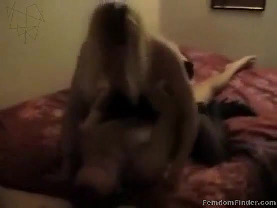 Anal cuckold cumshot xxx Couple sluts attempted to tear me off_1185a88f