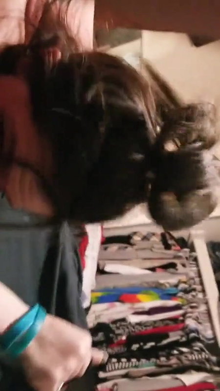 Analfuck cuckold_373ddb60