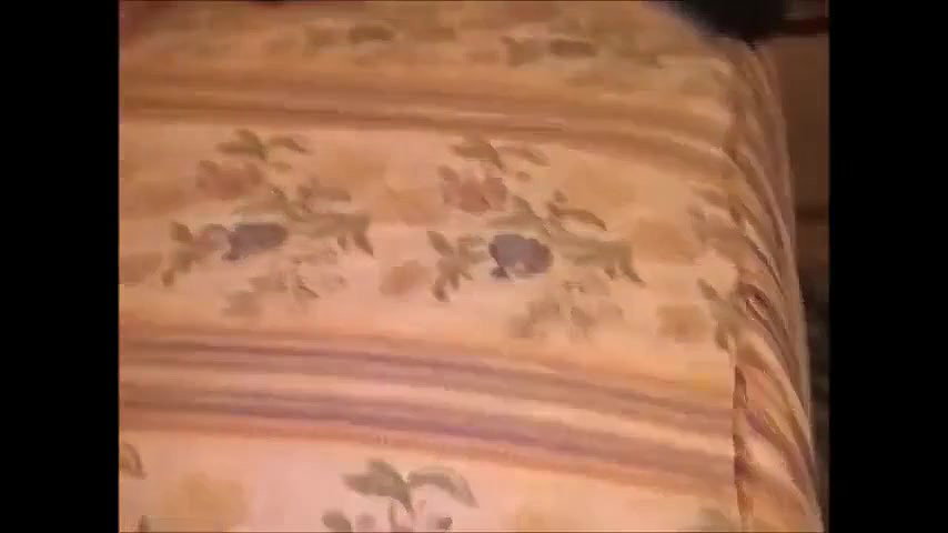 Cuckold Sugardaddy Watches Sugarbaby Double Pussy Penetrated Dv Dvp Dpp Immoral Live 4K_2fda30df