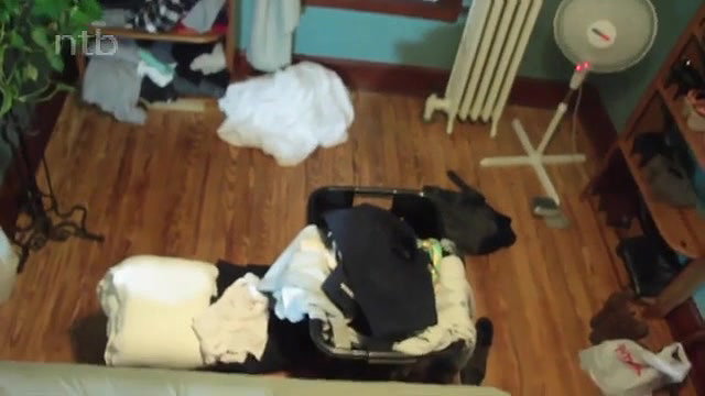 Japanese Hotwife Rides BBC While Cuckold Husband Films Reverse Cowgirl_cd80fcbd