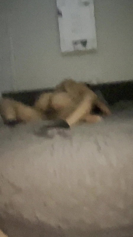 my lover makes my pussy explodes in a golden shower before fucking and creampying my pussy in front of my cuckold_4a8de9be