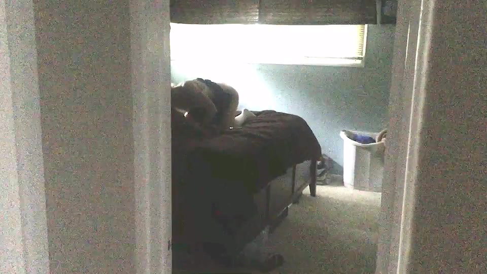 Shameless Cuckolding Wife Brittany Bardot Is Thirsty for Cum_fd1b0ad5