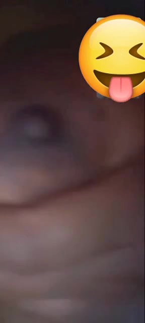 Cute desi bhabi big shaggy tits showing to her husband 22