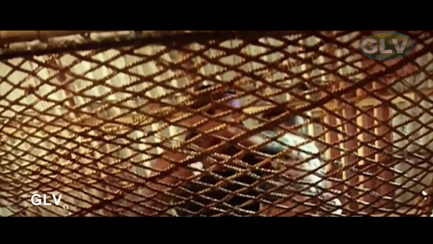 Pragthi Rare Wet Ass Boob press Seduving Song Vaazhga Jananayagam 1996 1080p 22