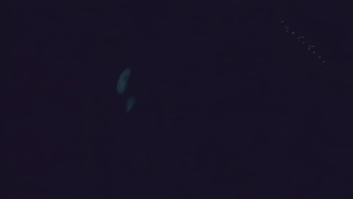 Babilona hot uncensored movie Compilation Part-1 4K1080P 22