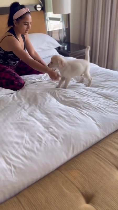 Actress Srusti Dange bending deep cleavage show in bed 22