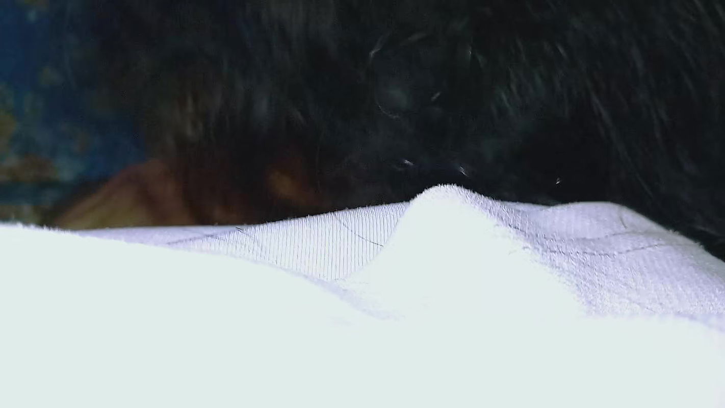 Bangladeshi real students meet date full romantic mood