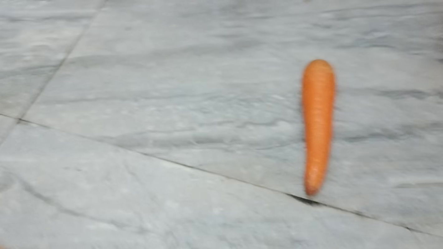 Indian Hot Wife Secret Fingering Video, SexyPayel