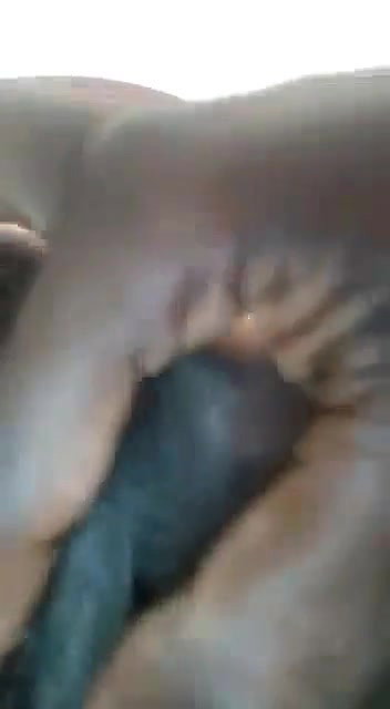 Husband eating gf chocolaty yummy pussy