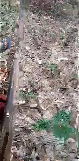 Bengali prostitute fucking outdoor