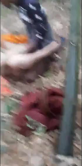 Bengali prostitute fucking outdoor