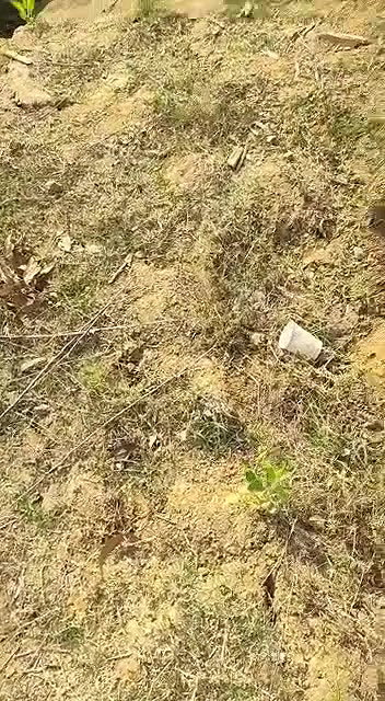 Couple Caught While Having Sex