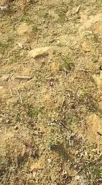 Couple Caught While Having Sex