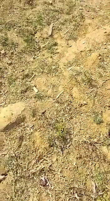 Couple Caught While Having Sex