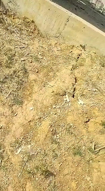 Couple Caught While Having Sex