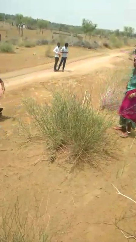 Sexy Reel collection