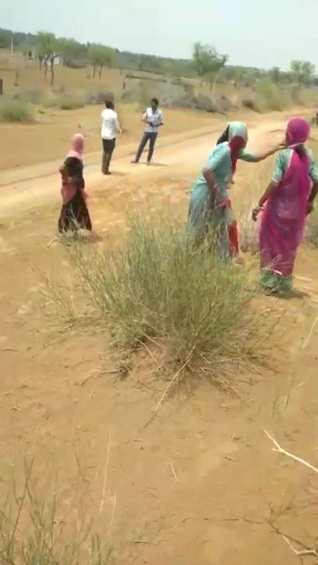 Sexy Reel collection