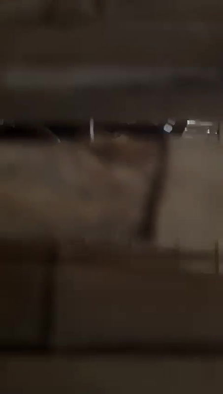 Lover outdoor romance hidden Recorded 28