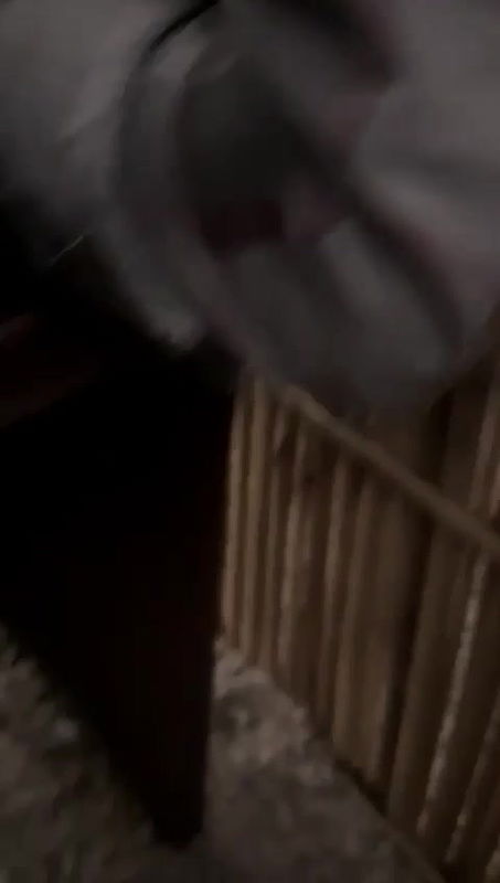 Lover outdoor romance hidden Recorded 29