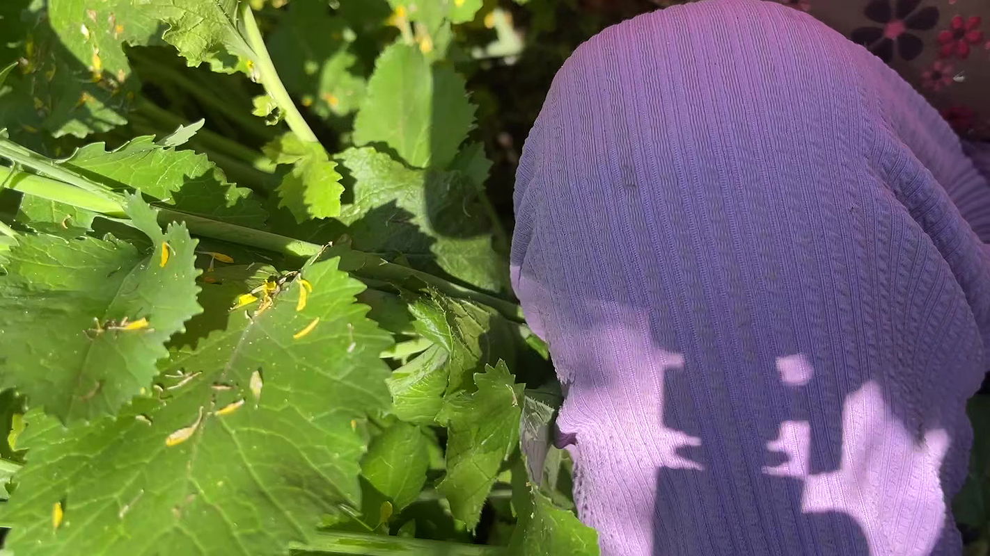 Desi girlfriend outside  injoy, full xxx video