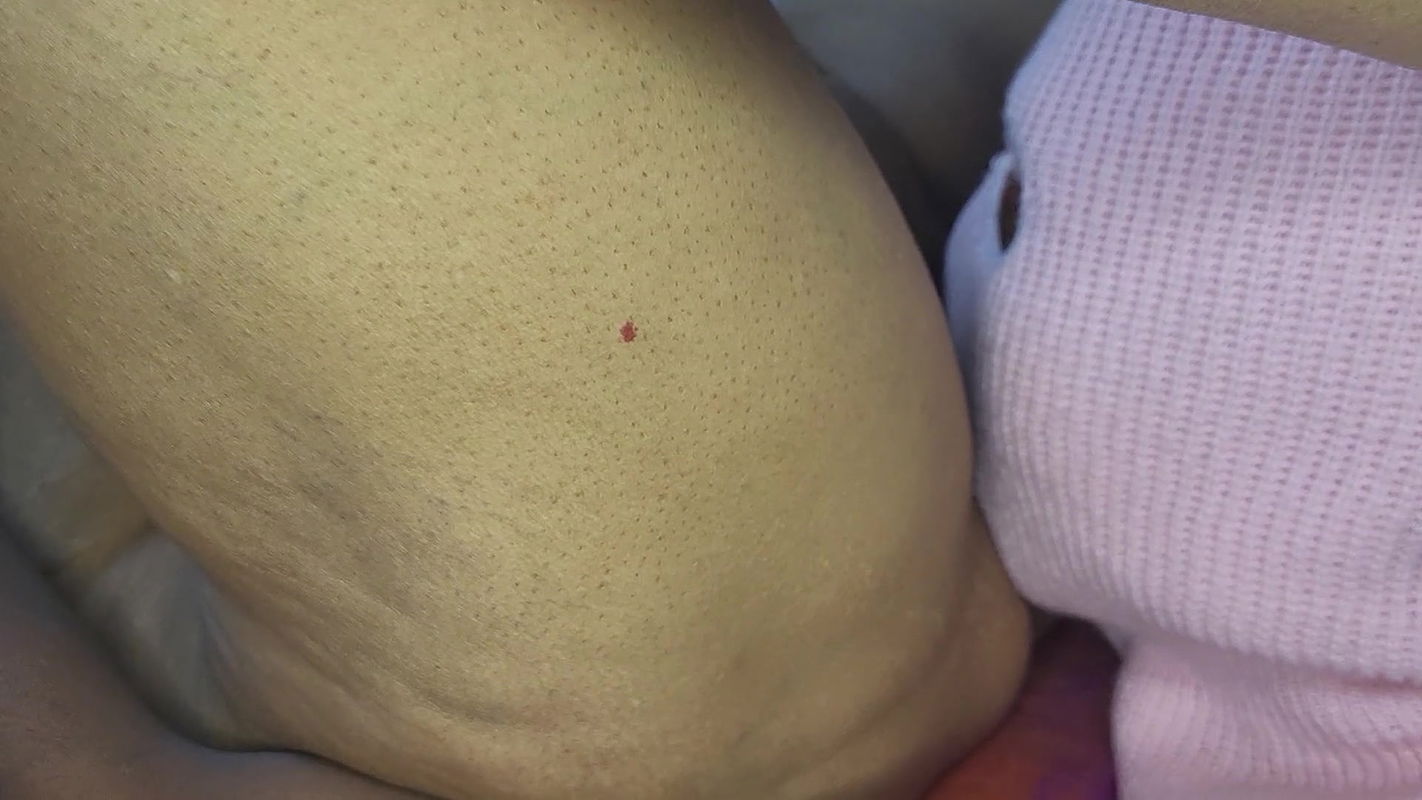 Time to Take Virginity of My Young Stepson Boys Part 1