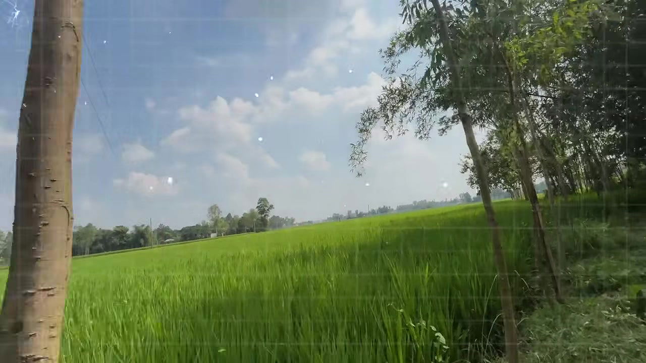 Bangla Choti golpo student and teacher best performance student