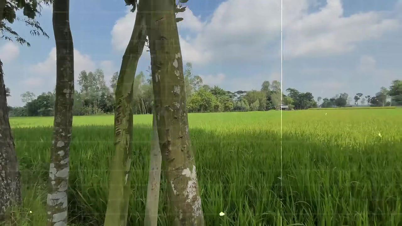 Bangla Choti golpo student and teacher best performance student