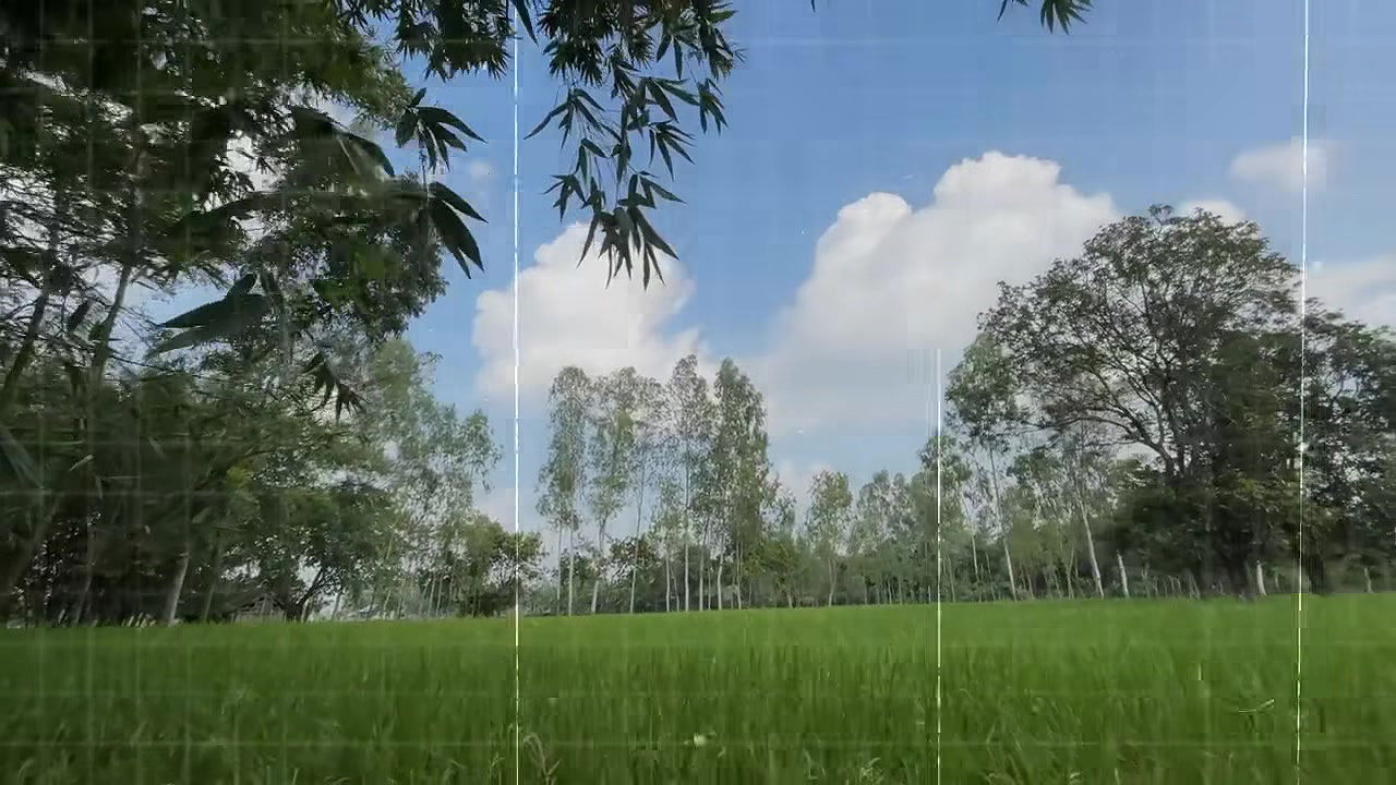 Bangla Choti golpo student and teacher best performance student