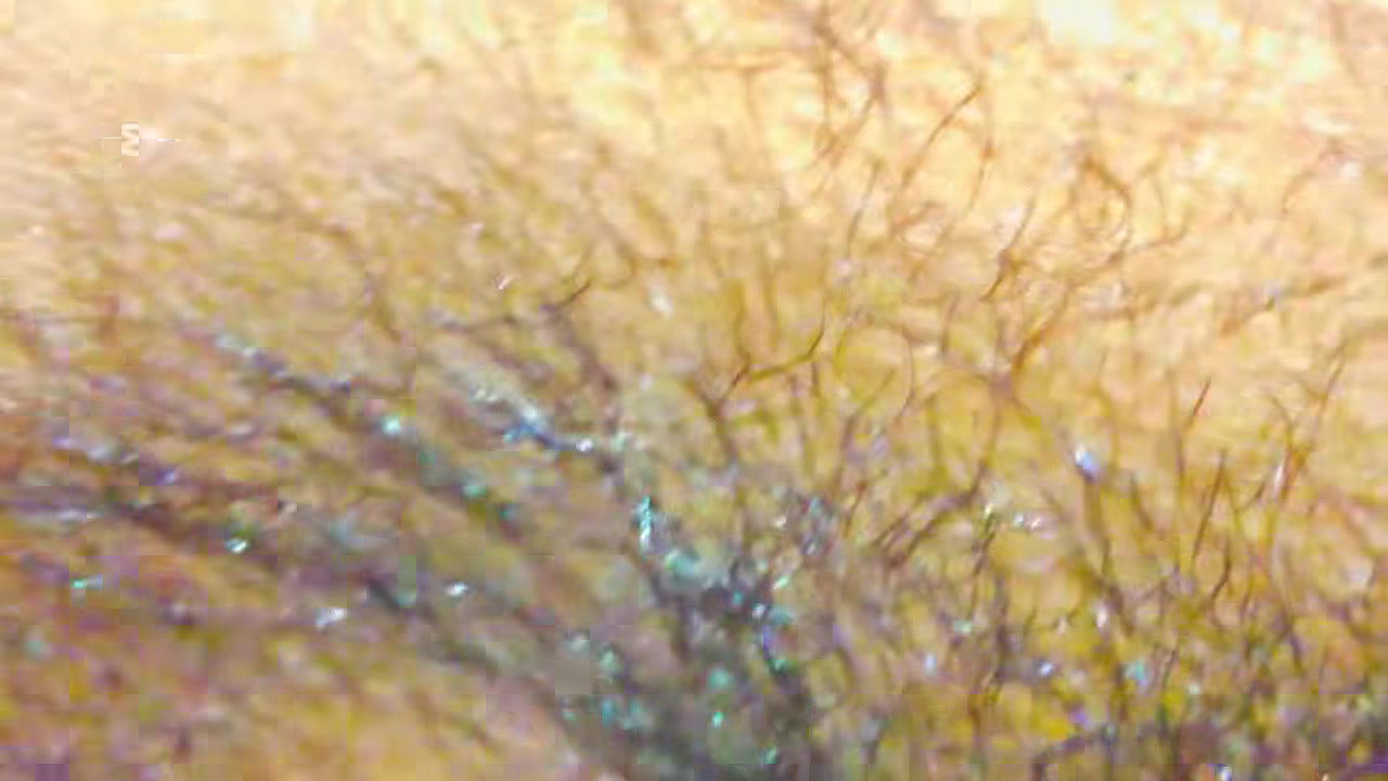 New srilanka sex video 2025 sep stepmom fucking sun