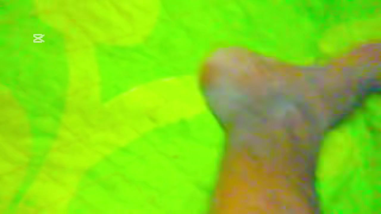 New srilanka sex video 2025 sep stepmom fucking sun