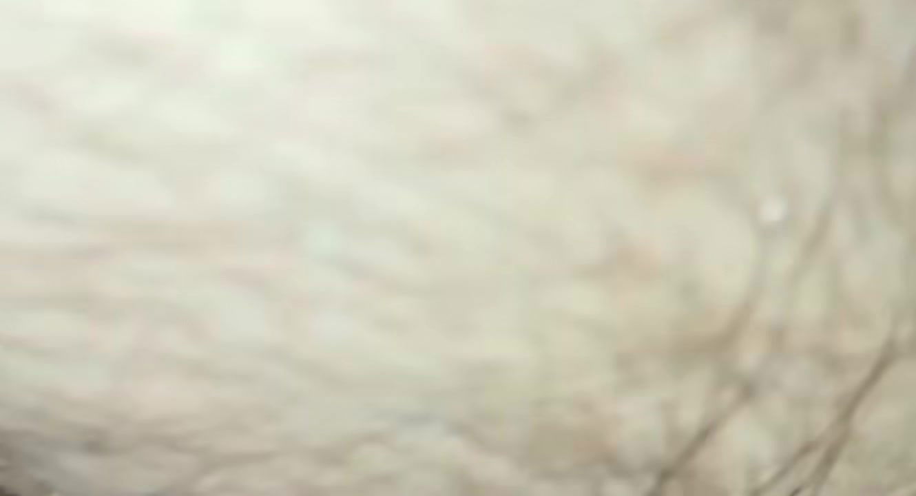 Morning sex with my sexy hubby