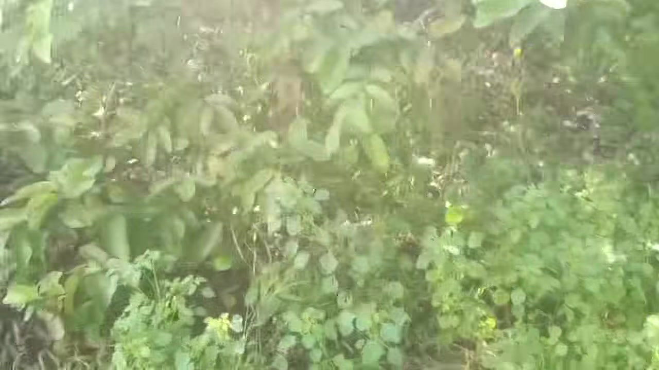 Desi bhabhi ki bahut jyada chudayi ki