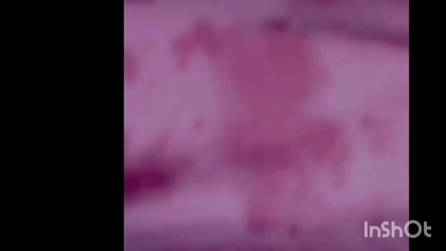 Hot Indian milf fucked by stepson , Hot desi HD Sex Video