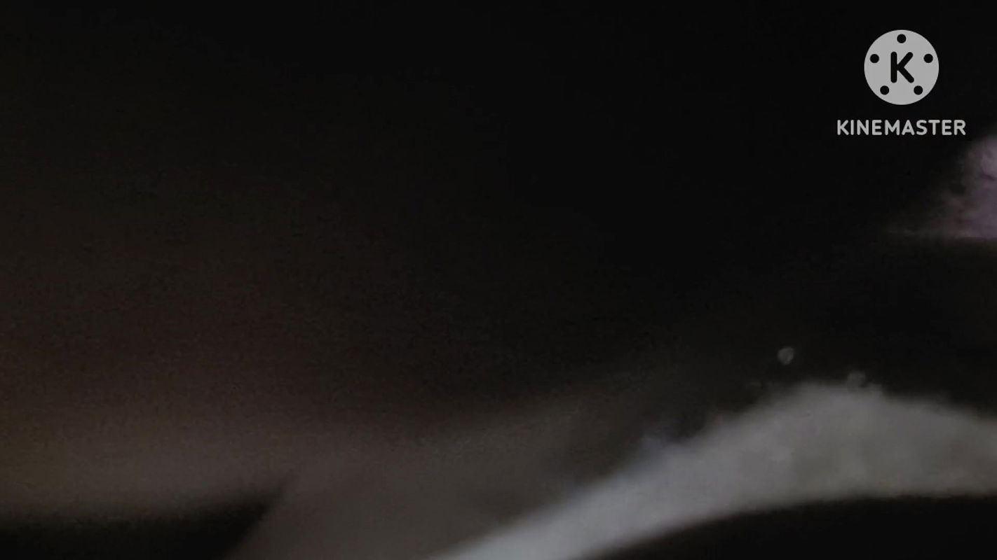 Indian Huge Boob Wife Sex with Her Boyfriend in Her Bedroom When Nobody at Home