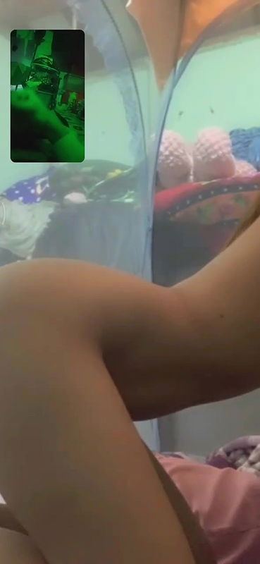 Myanmar walking ass_71c150cb