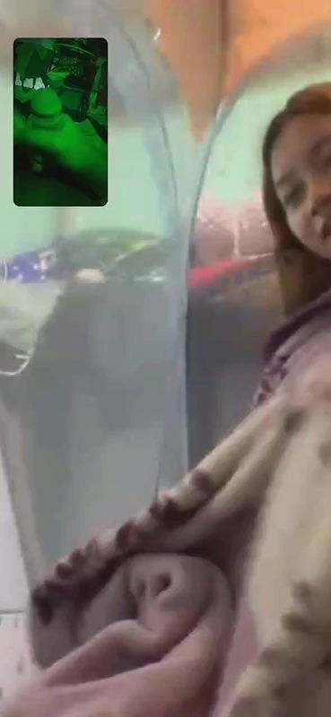 Myanmar walking ass_71c150cb