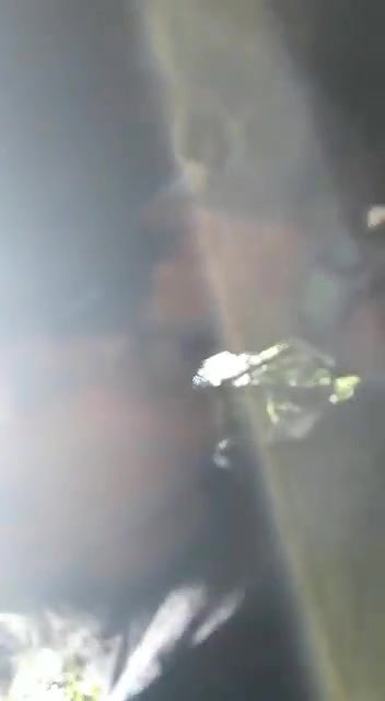 Cute Girl Blowjob In Jungle