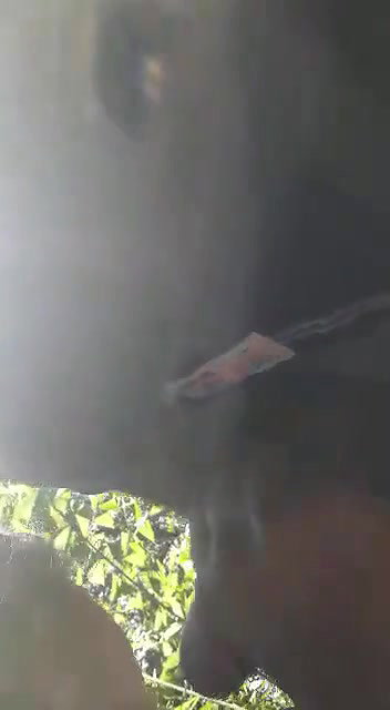 Cute Girl Blowjob In Jungle